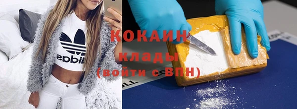 стаф Новозыбков