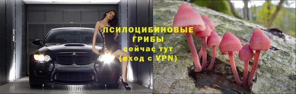 PSILOCYBIN Новокубанск