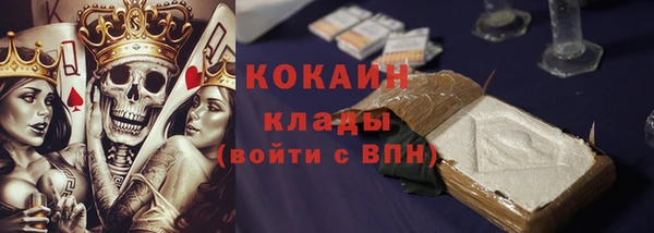 стаф Новозыбков