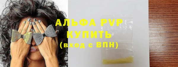 стаф Новозыбков