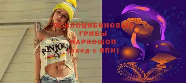 PSILOCYBIN Новокубанск
