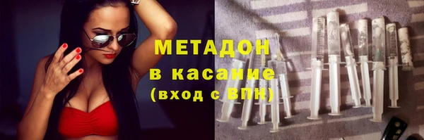 стаф Новозыбков