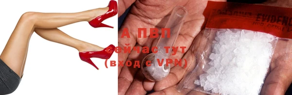 PSILOCYBIN Новокубанск