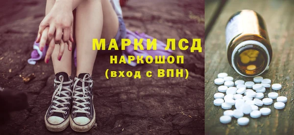 стаф Новозыбков
