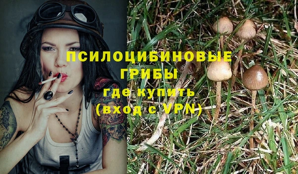 крисы Козловка